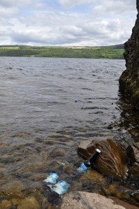 Foto: Elena Hasenbeck