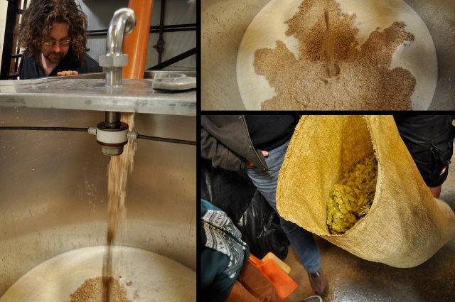 Foto: Elena Hasenbeck