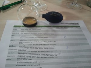 Foto: Mareike Hasenbeck