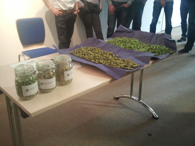 Foto: Mareike Hasenbeck