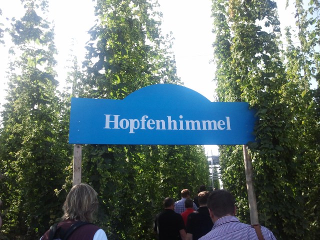 Foto: Mareike Hasenbeck