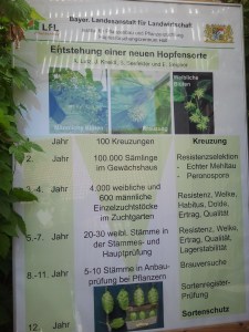 Foto: Mareike Hasenbeck