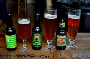 Foto: Elena Hasenbeck