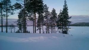 Eisige Schneelandschaft in Ivalo