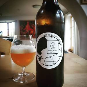 IMG_20170427_233528_459